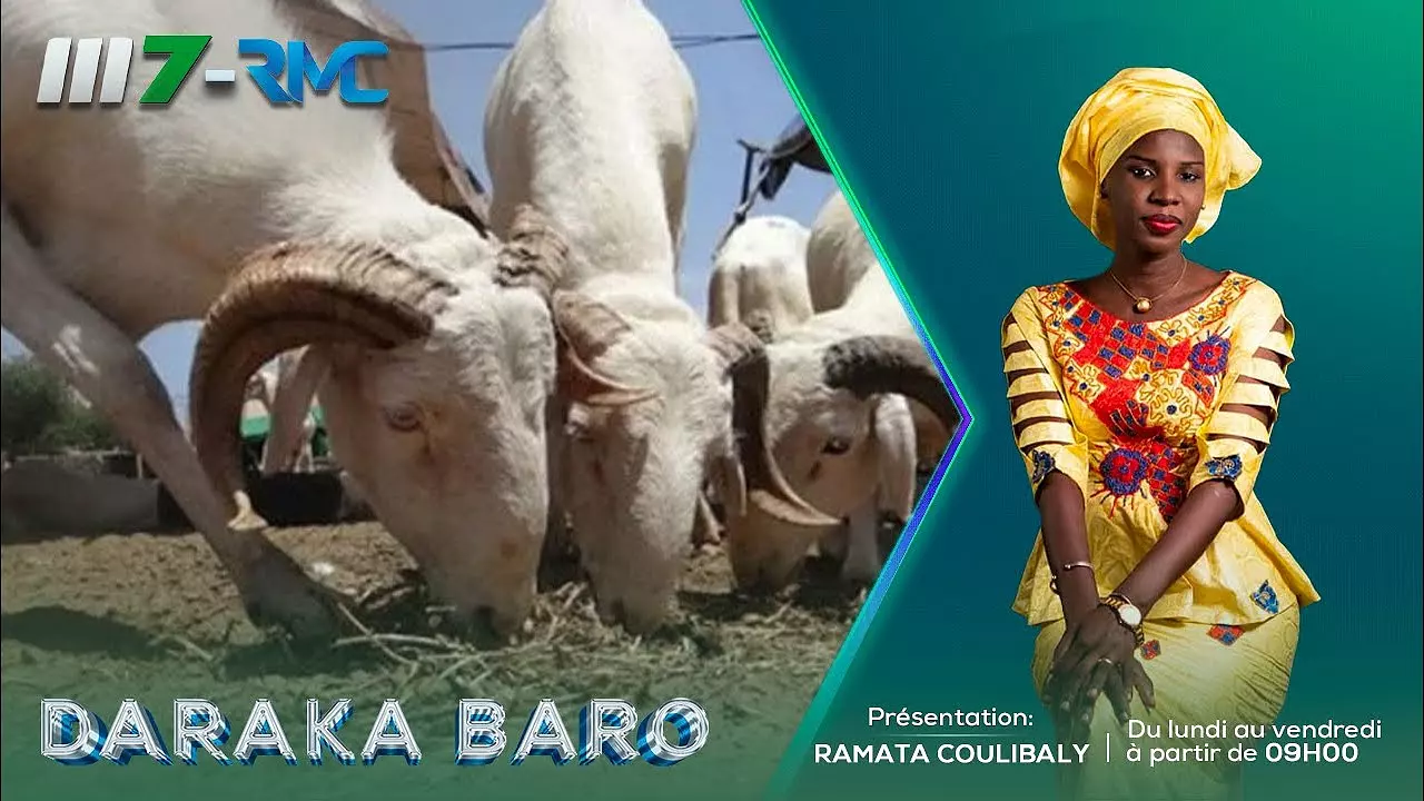 DARAKA BARO POSE LE DEBAT SUR LES HISTOIRES DE MOUTONS DE TABASKI