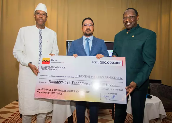 Fonds de résilience aux crises : La diaspora malienne contribue pour 200 millions FCFA