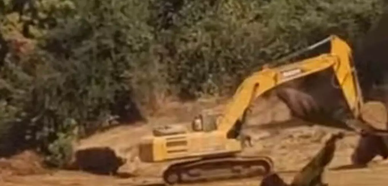 Cercle de Sadiola : Cohabitation tendue entre exploitants chinois et populations du village de Kéniékéniéba