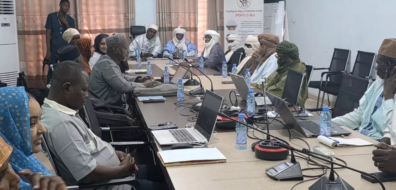 Accroissement du Produit brut des activités d’élevage : Le RPPS fait le point de 2023 à 2025